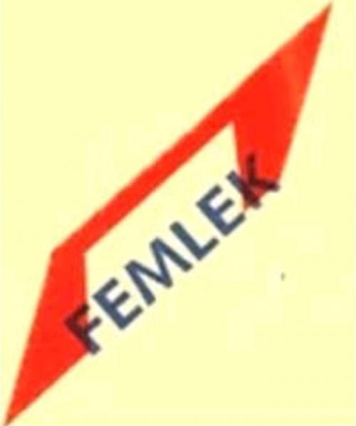 FEMLEK GLOBAL SERVICES LIMITED